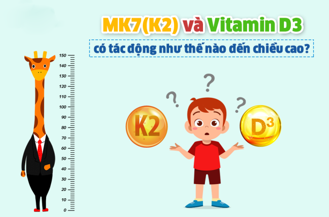 Vitamin D3, Vitamin K2 MK7 – Nhân tố quan trọng hỗ trợ tăng chiều cao