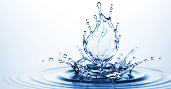 Nước quan trọng đối với mọi hoạt động của cơ thể, bao gồm cả quá trình tăng chiều cao