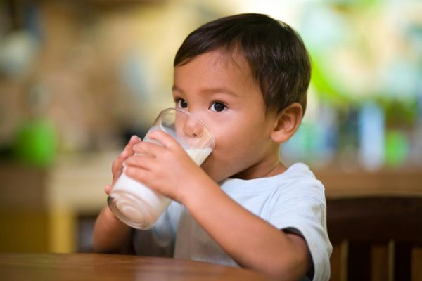 Sữa tươi có vai trò quan trọng trong quá trình phát triển chiều cao cho bé 2 tuổi